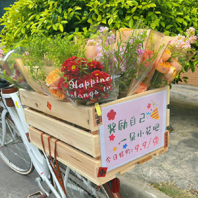宠物基础知识